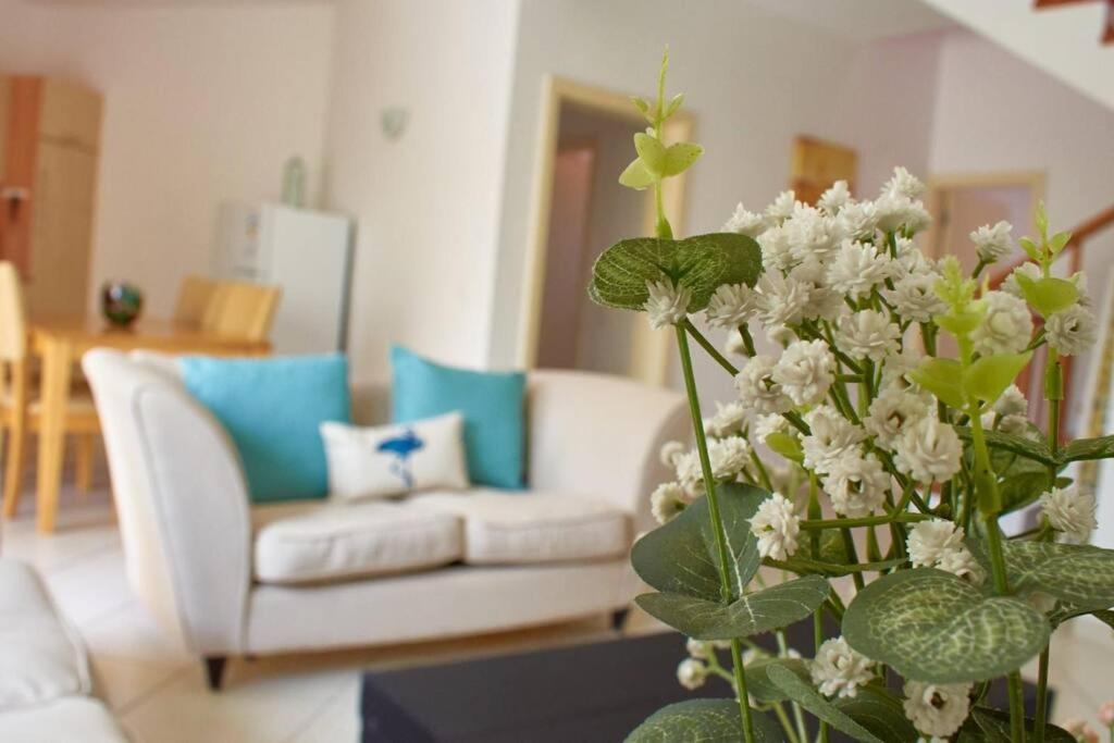 Apartamento T3 Encantador Com Piscina Wifi E Perto De Praia Санта-Мария Экстерьер фото